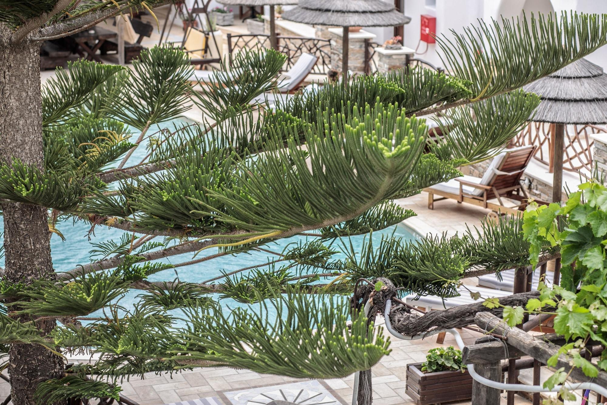 Anemomilos Beach Hotel Agia Anna  Exterior foto